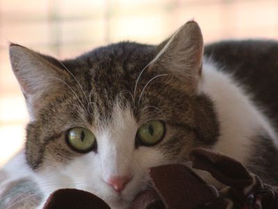 Hello my name is Sumsy