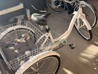 Schwinn Tricycle