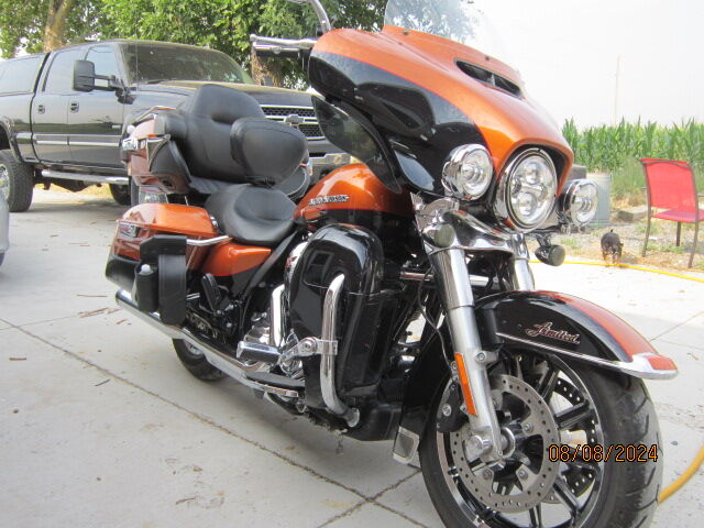 2015 Ultra Limited Low