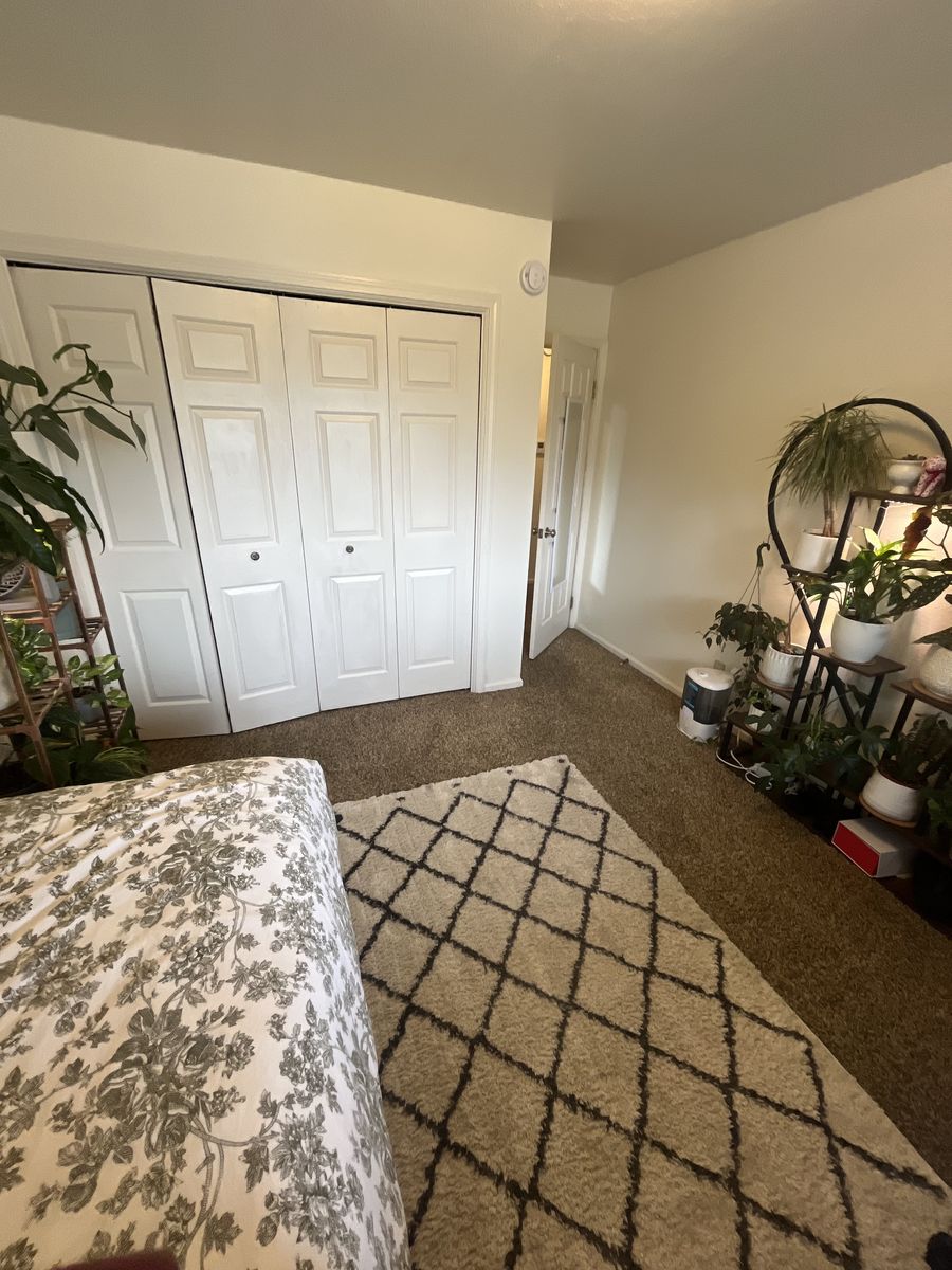 Spring/Summer Private Room for Rent!