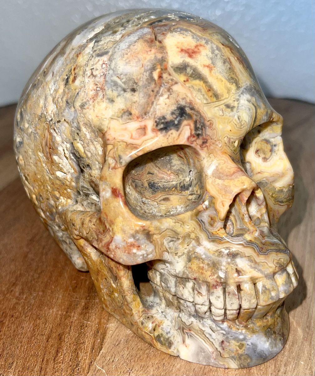NEW Crystal 5" Skeleton Gemstone Natural Druzy SKULL Crazy Lace Agate Stone Home Decor Decoration Figurine Statue Collectible