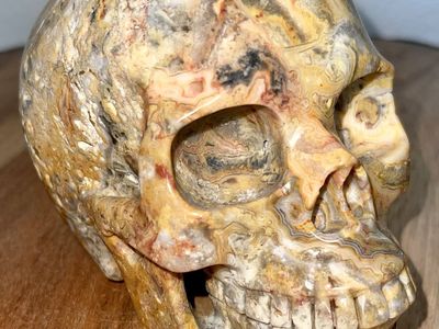NEW Crystal 5" Skeleton Gemstone Natural Druzy SKULL Crazy Lace Agate Stone Home Decor Decoration Figurine Statue Collectible
