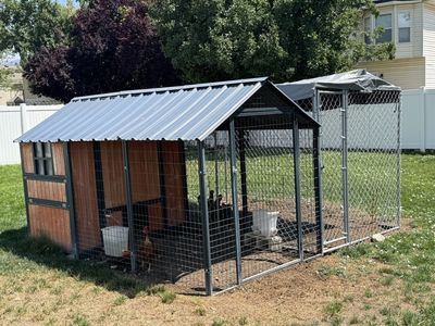 Large Chicken Coop & Run plus 9 laying hens