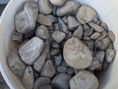 Native landscape rocks