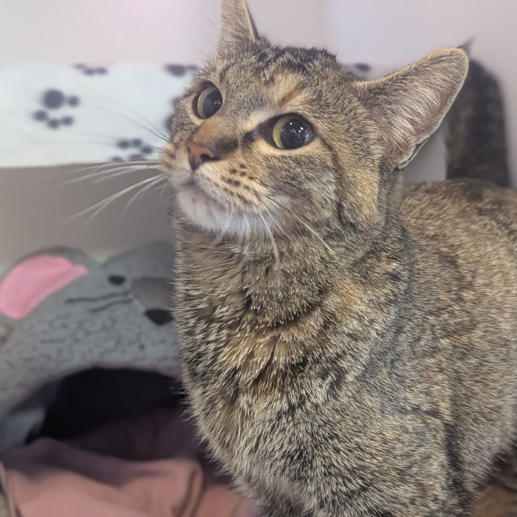 Hello my name is Maizie