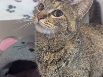 Hello my name is Maizie