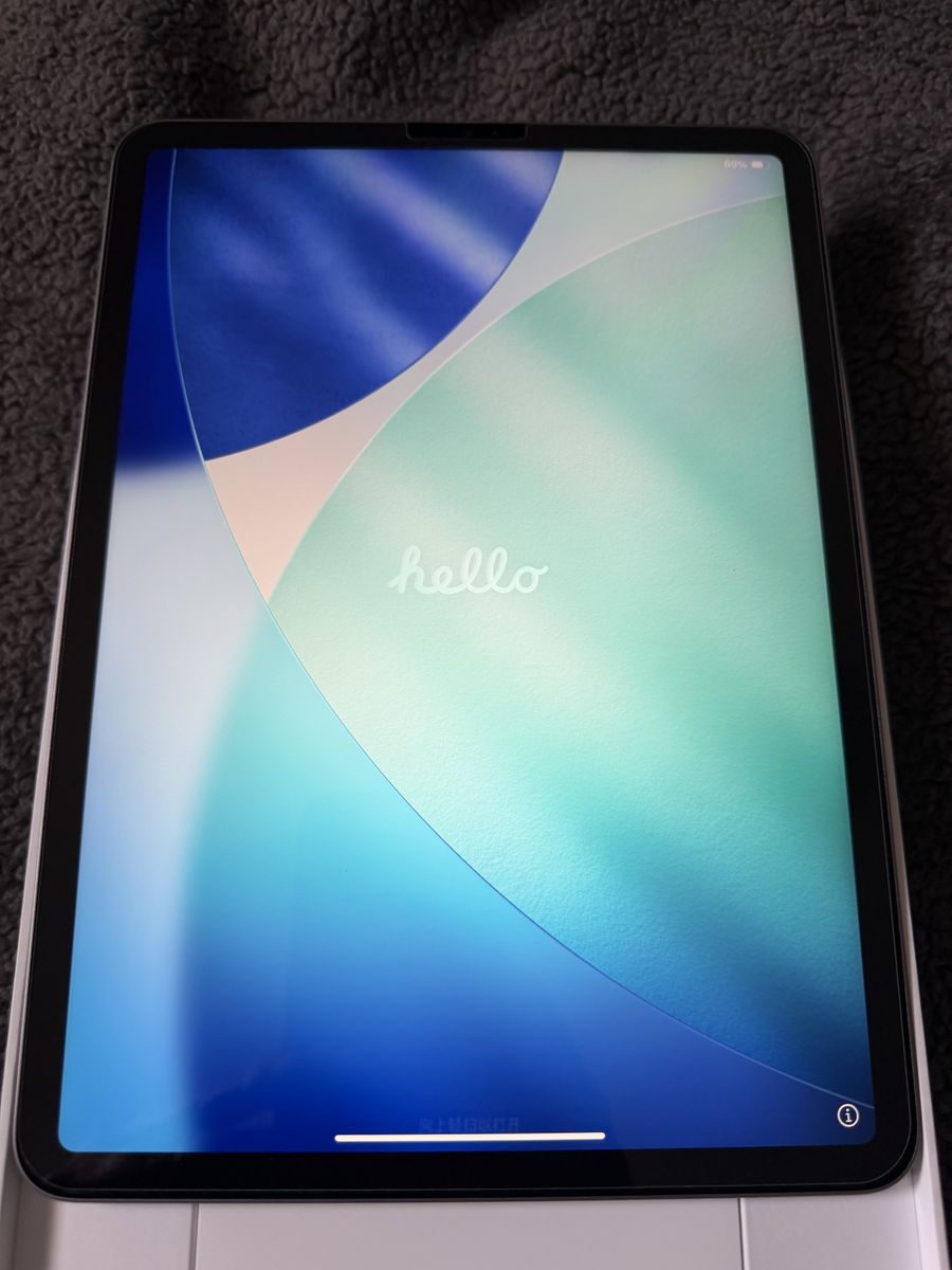 Ipad Pro 11-inch 4th Gen 128 GB