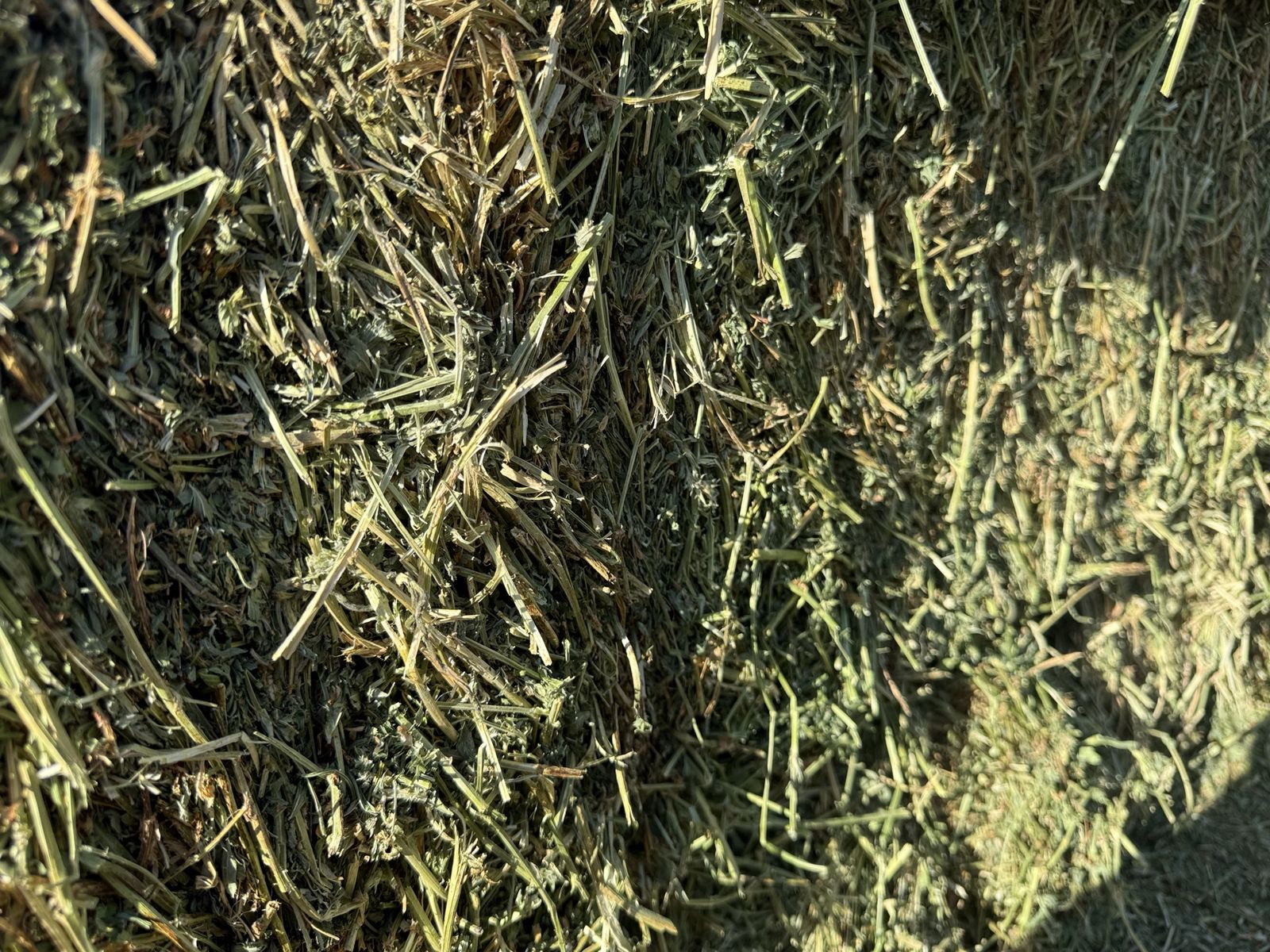 Main image 2