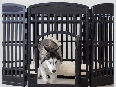 Black Heavy-Duty Pet Playpen/Gate - 60.75" W x 34" H, Indoor/Outdoor Use