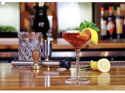 V-Shape Coupe Cocktail Glass 6 Pack