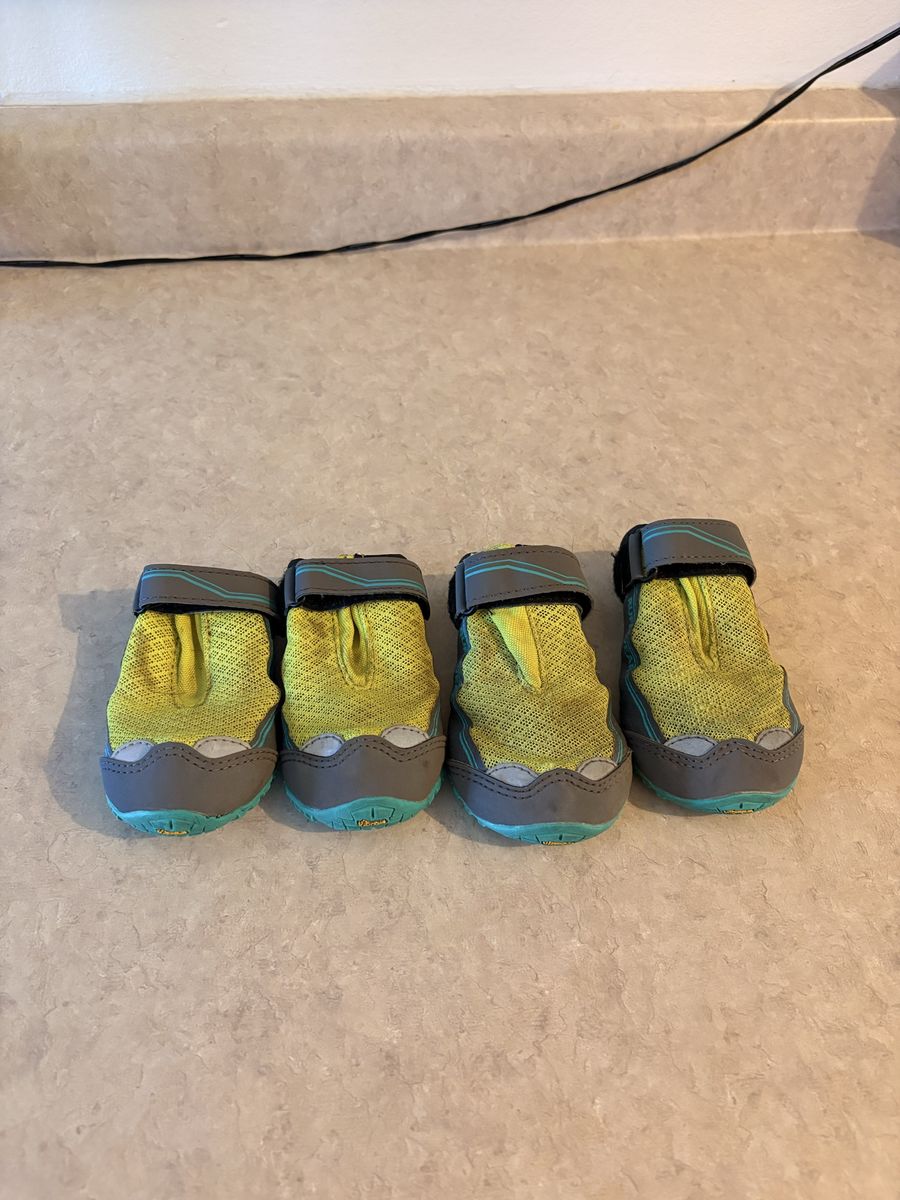 Ruffwear dog boots