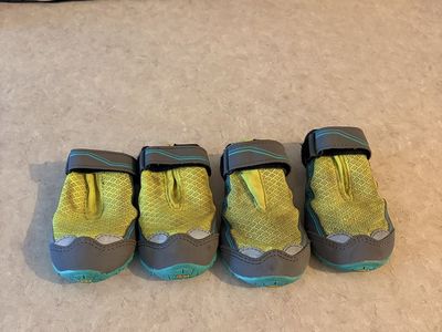 Ruffwear dog boots