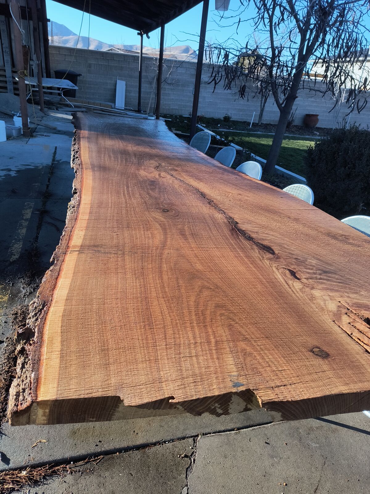 Live Edge Wood Slab 14 ft x 44" wide