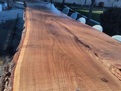 Live Edge Wood Slab 14 ft x 44" wide