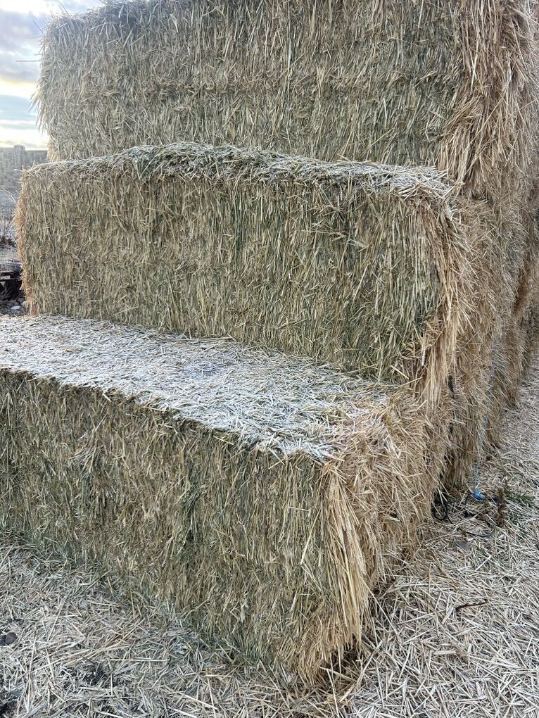 Three-Way 3x3x8 Bales