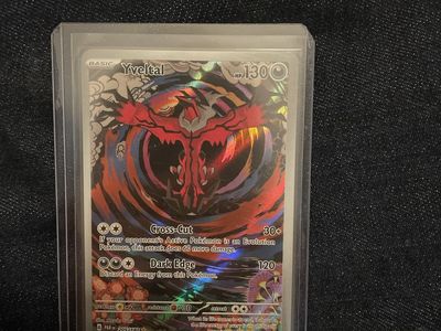 Yveltal paradox rift IR