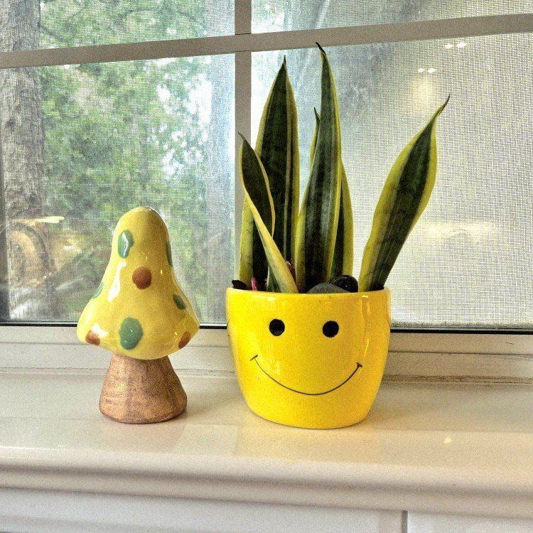 Plant + Toadstool