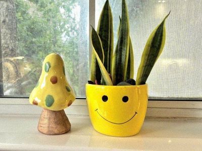 Plant + Toadstool