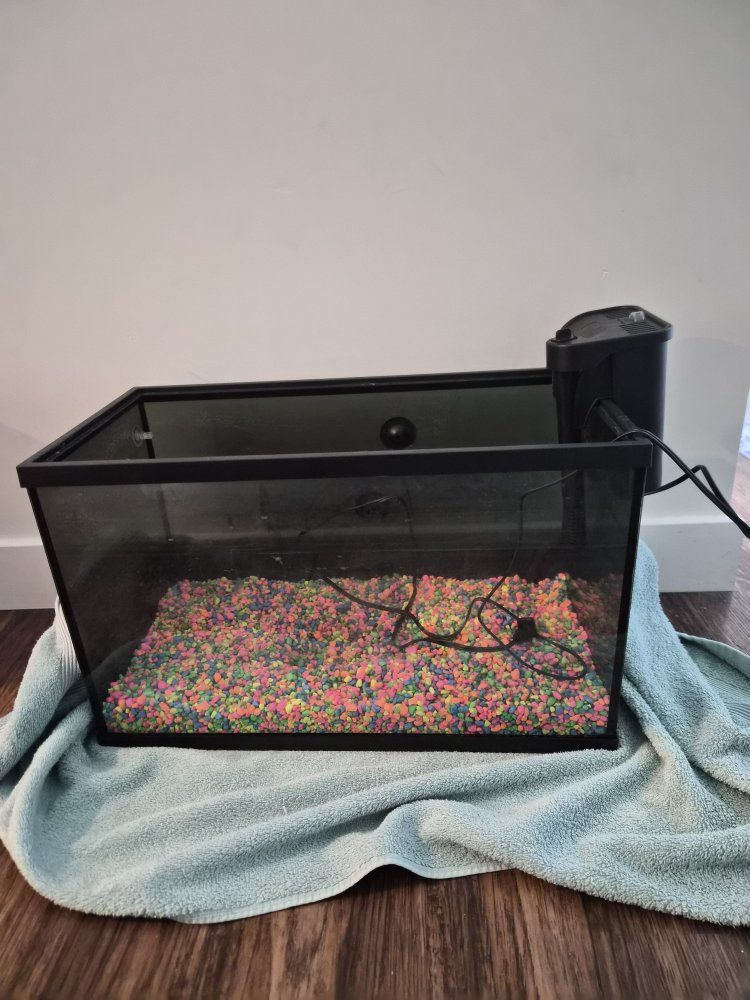 Fish Tank Starter Kit 10 Gallon
