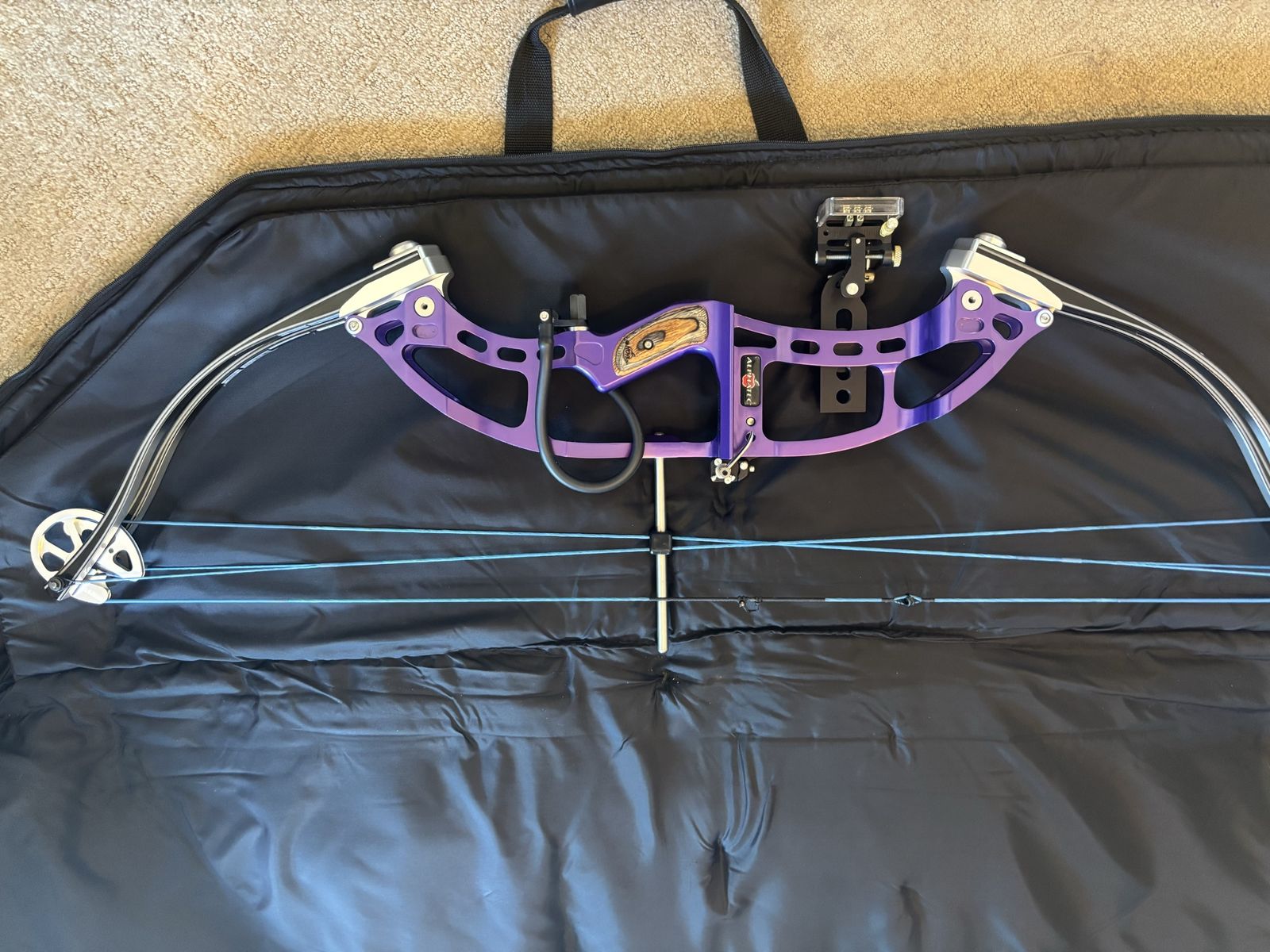 Hoyt Alphatec competition compound bow