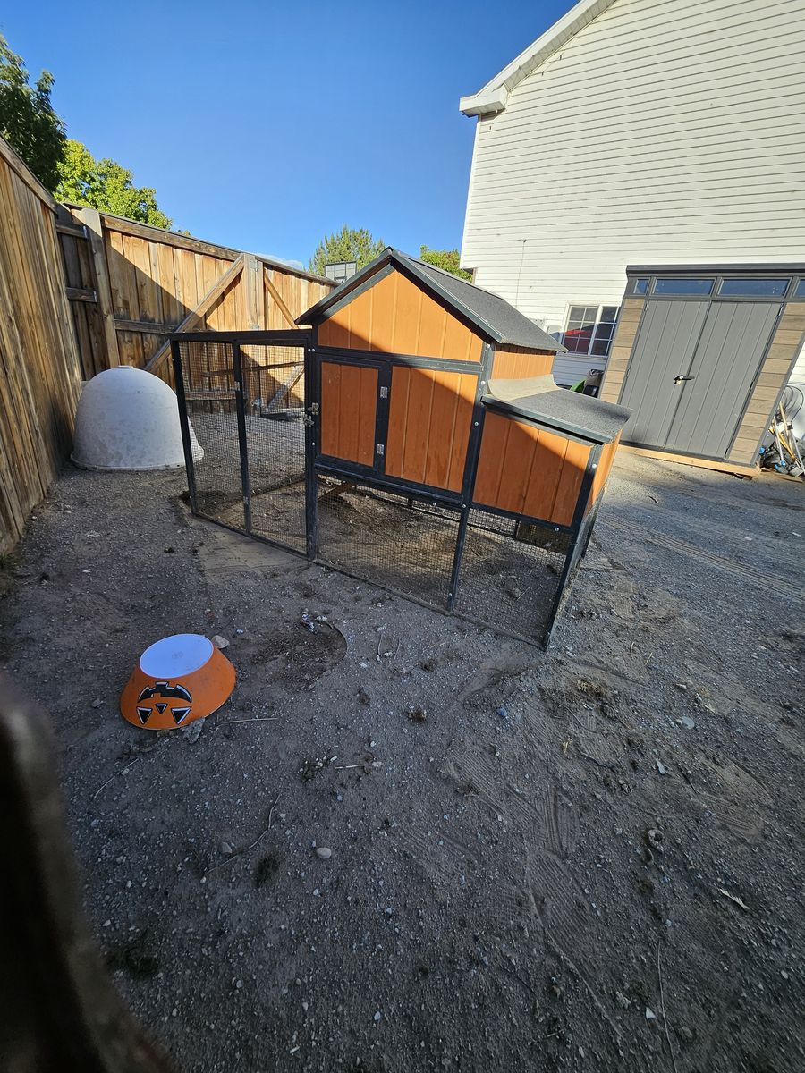 Main image 8