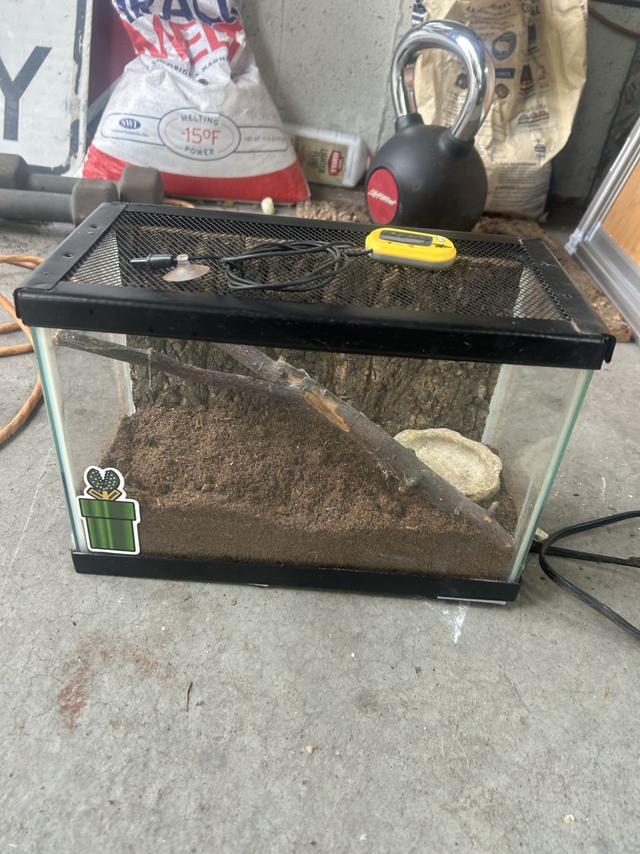 Small pet tank
