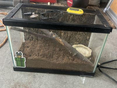Small pet tank