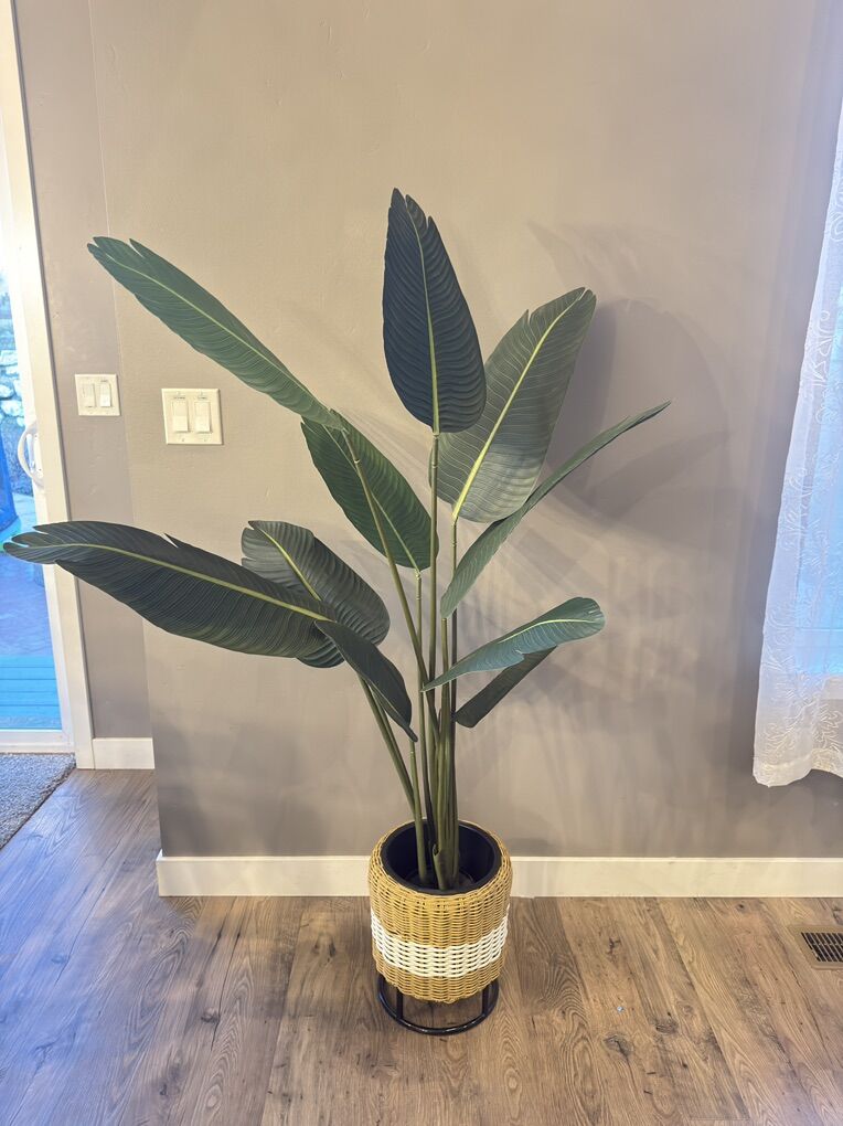 Articial Bird Of Paradise Plant