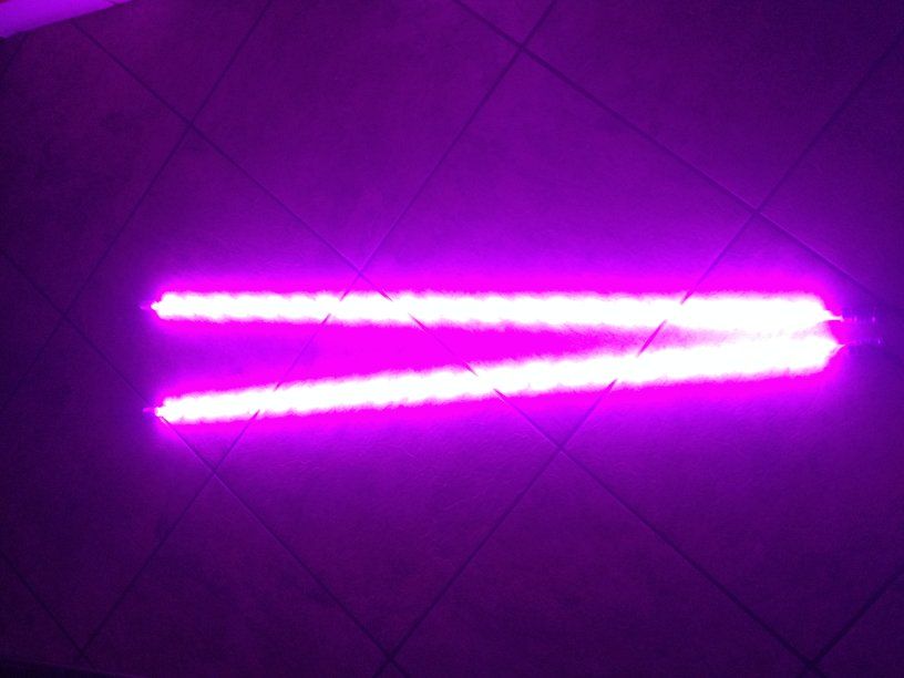 Pink LED Whips