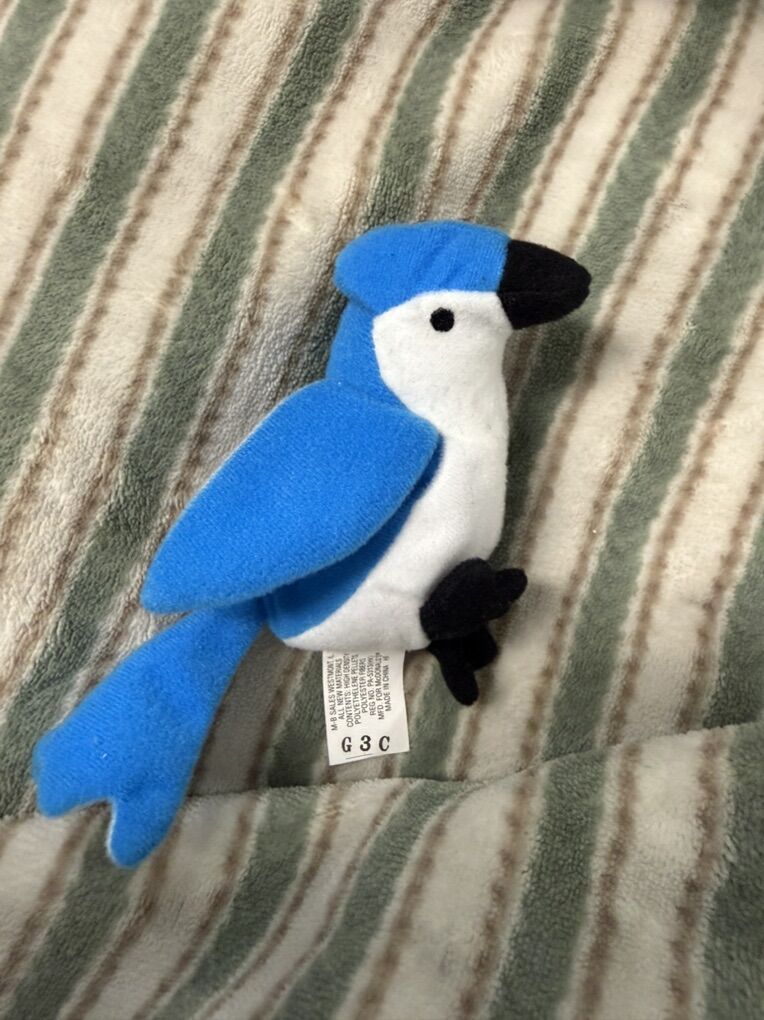 Rocket The Blue Jay 1993
