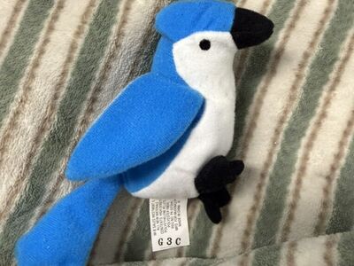 Rocket The Blue Jay 1993