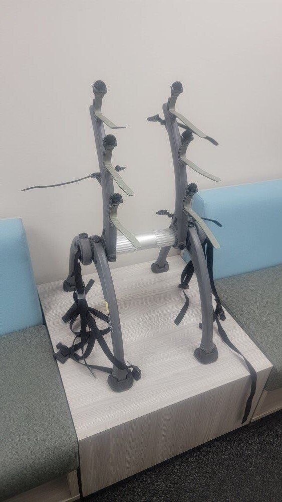 Saris Backbone bike rack