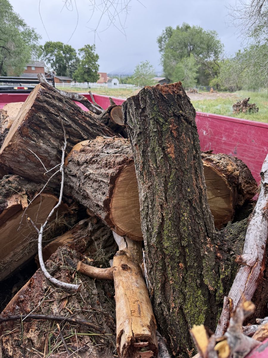 Firewood