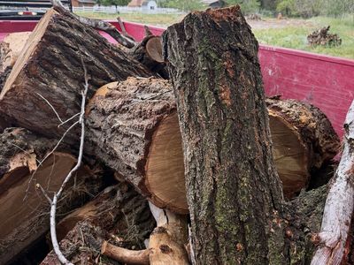 Firewood