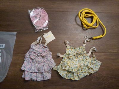 Cute Bunny Leashes