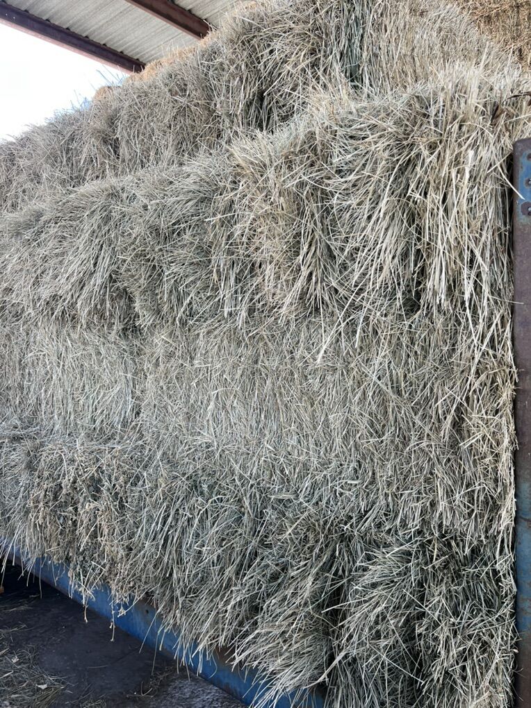 Premium Grass Hay