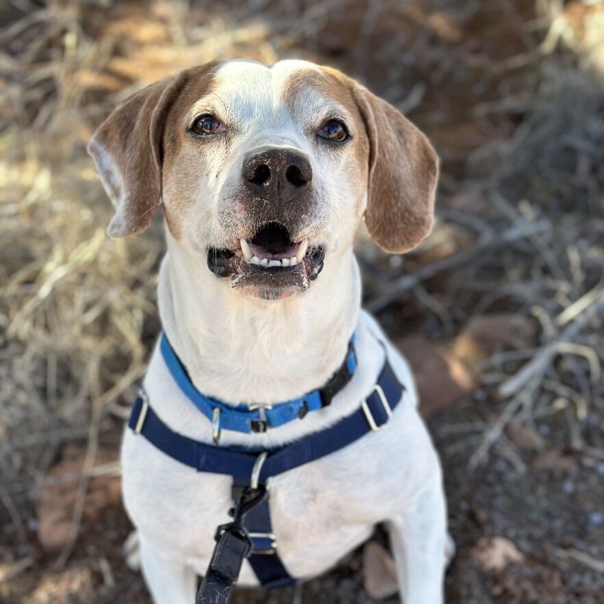 Hello my name is Sawyer