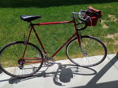 Panasonic Sport Deluxe 12 Speed