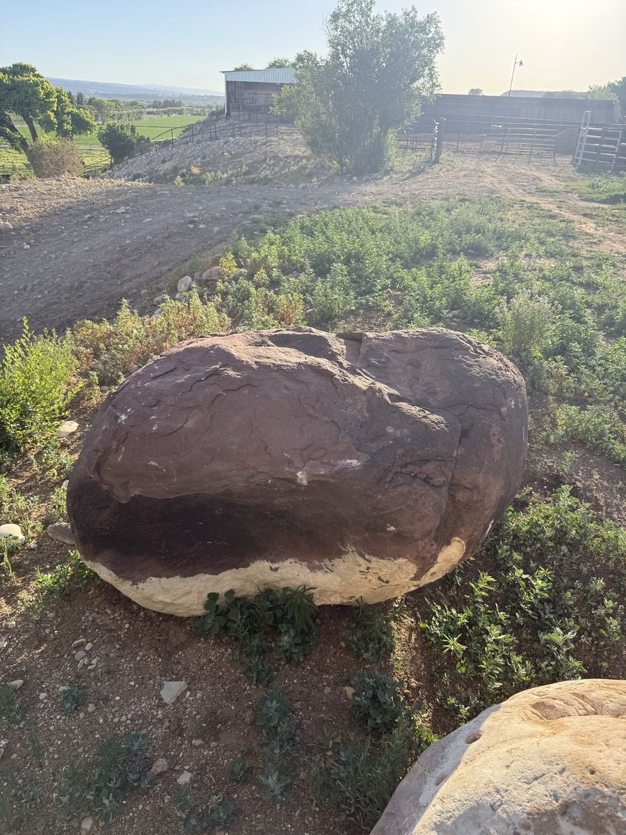 Main image 7