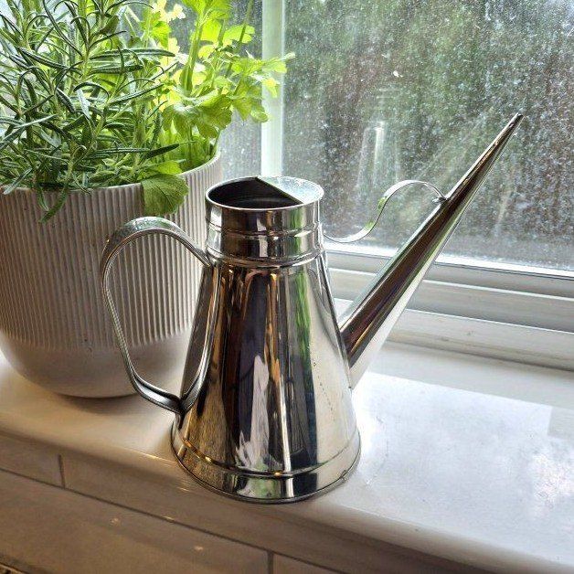 Stainless Steel Watering Can, Small Indoor Plant Waterer with Long Spout