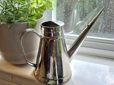Stainless Steel Watering Can, Small Indoor Plant Waterer with Long Spout