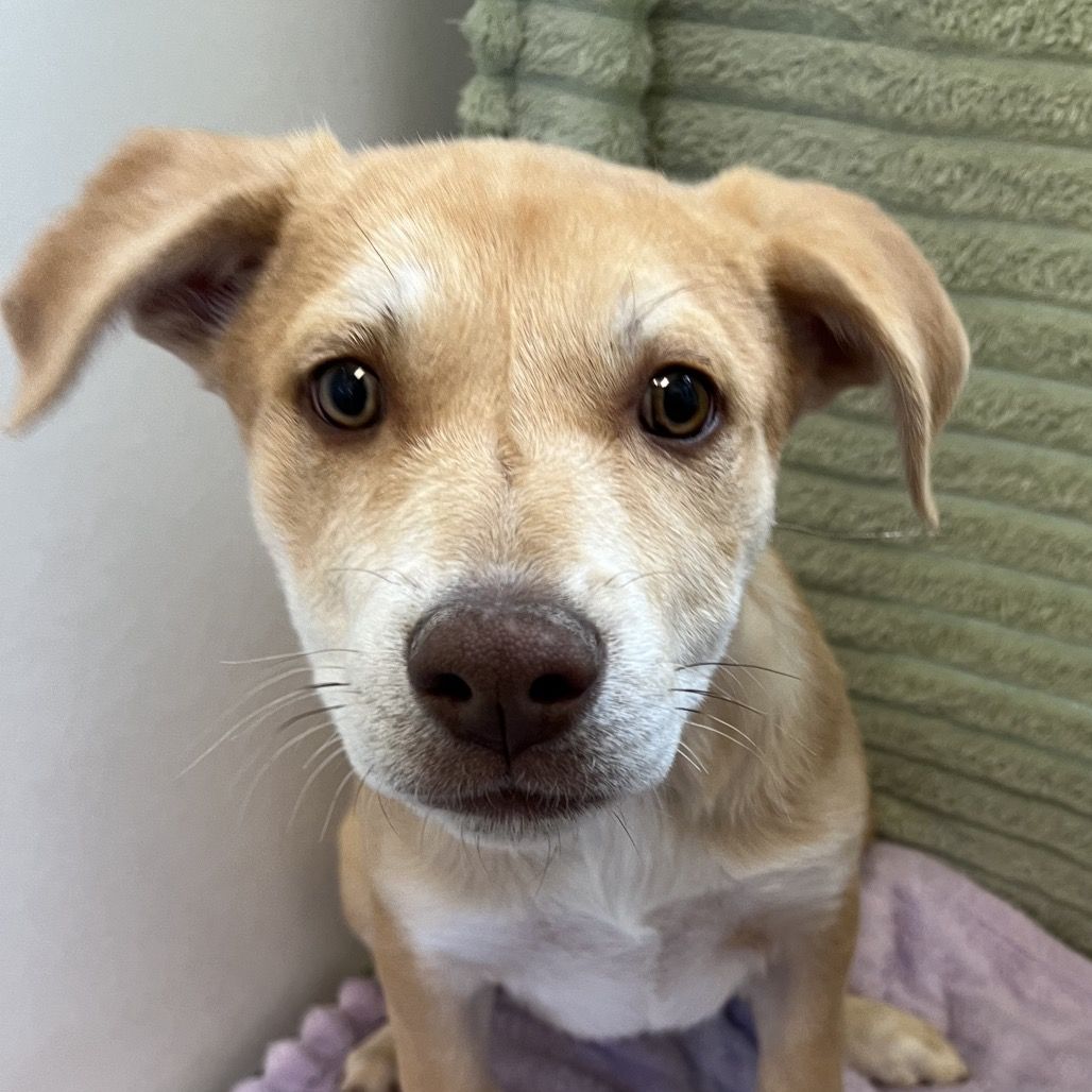 Hello my name is Namaste