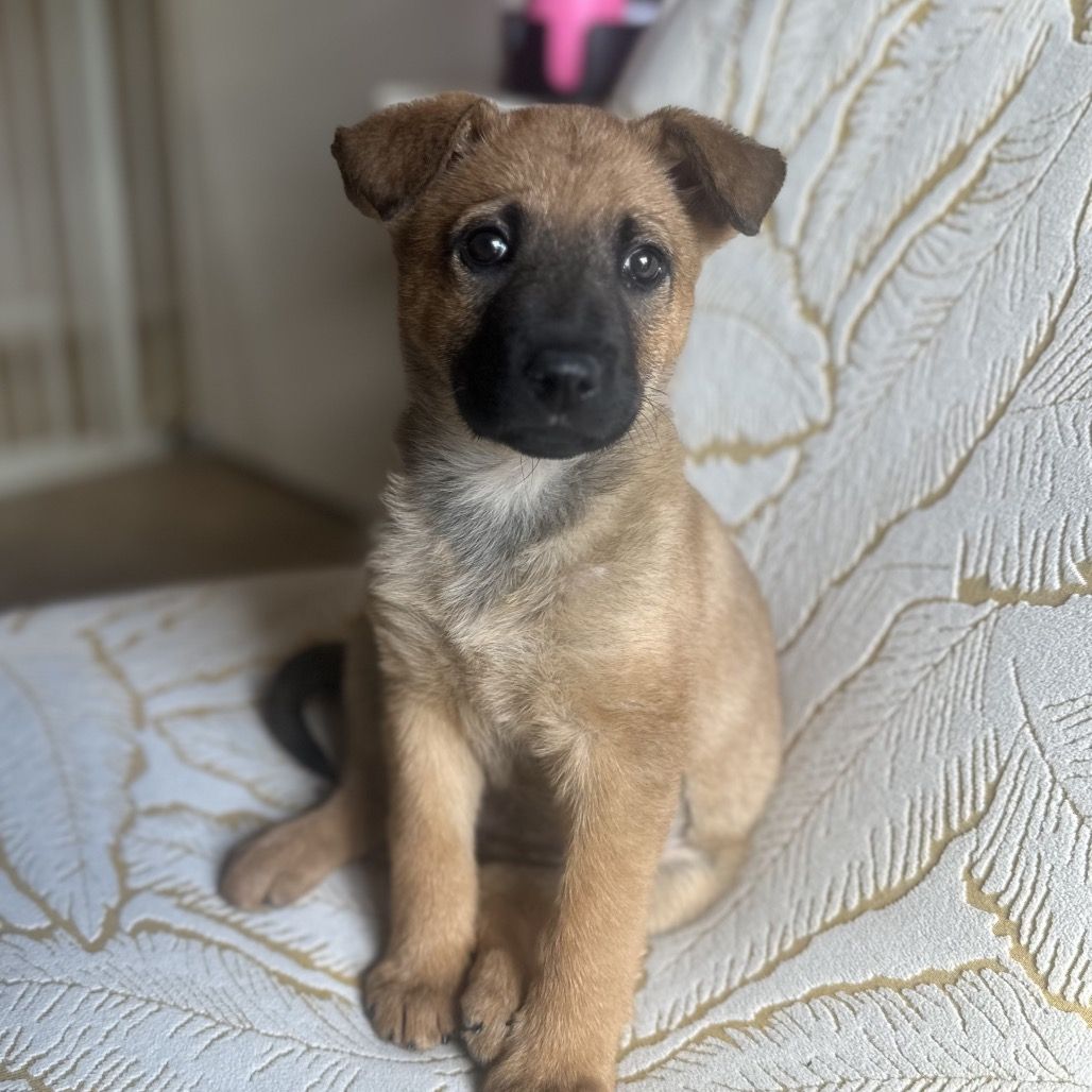 Hello my name is Iris