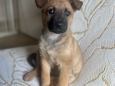 Hello my name is Iris