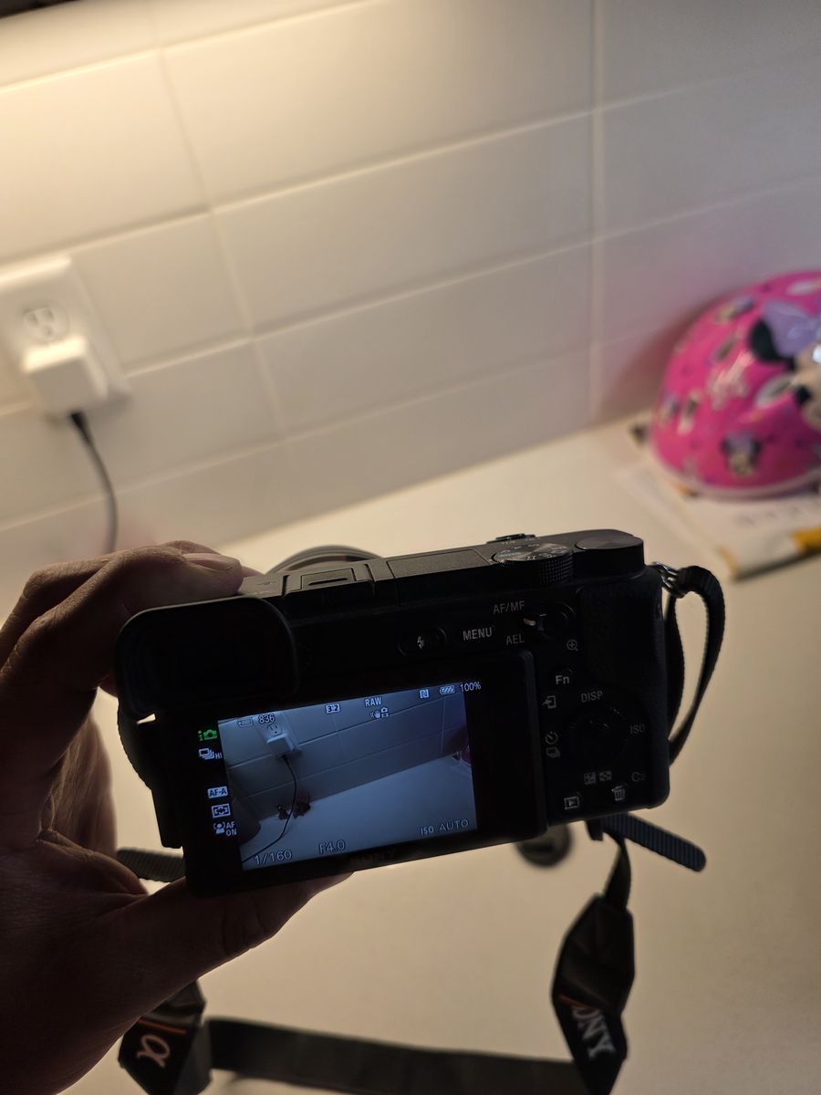 Main image 5