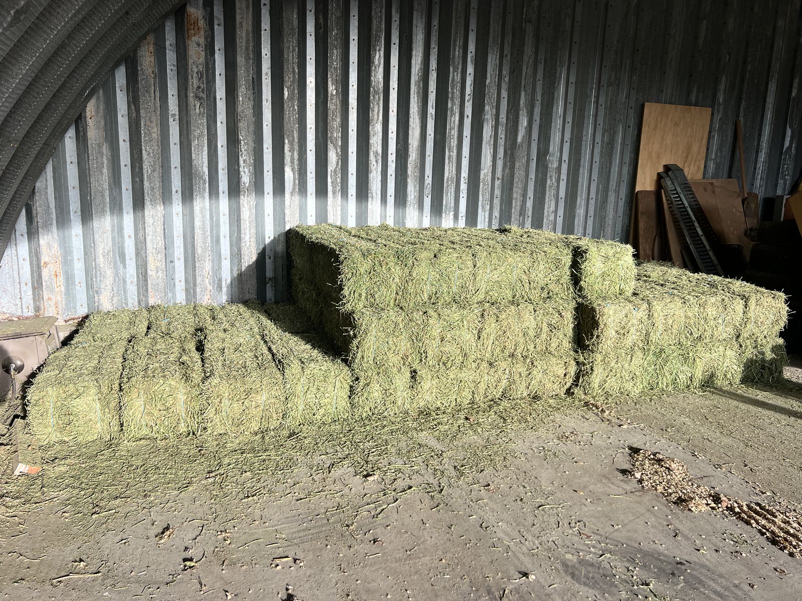 Alfalfa hay for sale.