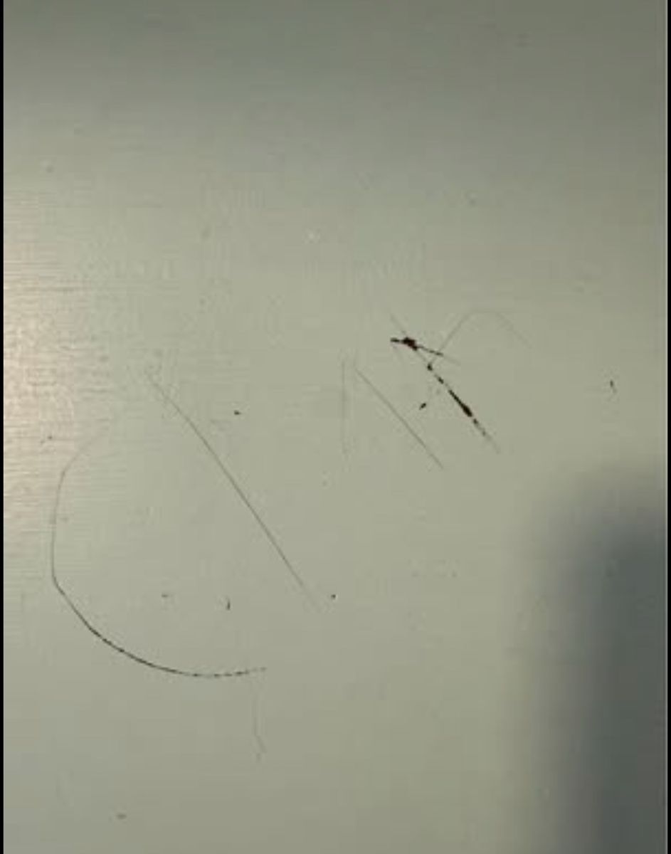 Main image 4