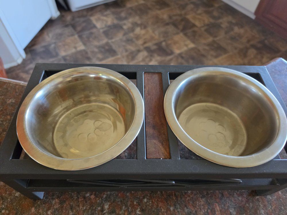 Elevated Pet Food and Water Bowls with Metal Stand