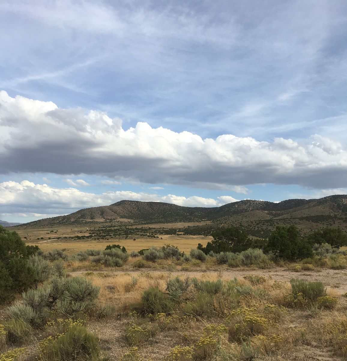Premium 3-4 Acre Lots at Yuba (Private Boat Slip Included) Only 6 Left and Build Ready
