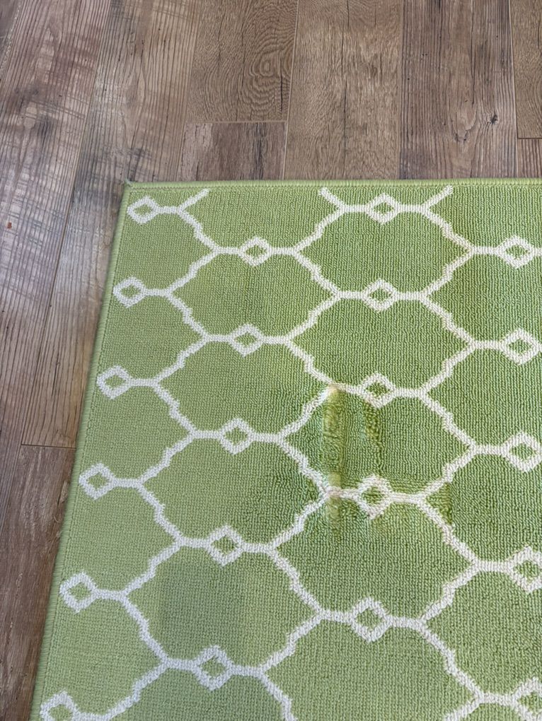 Indoor/ Outdoor Carpet